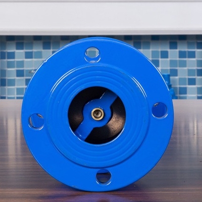 Ggg40 de Klep Dubbele Flens Dn100 van de Geluiddempercontrole Geen Klep van de Terugkeercontrole
