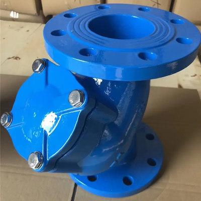 Ggg50 Flenstype van de Waterfilter Van een flens voorzien het Roestvrije staaly Zeef van het ZeefGietijzer DN50
