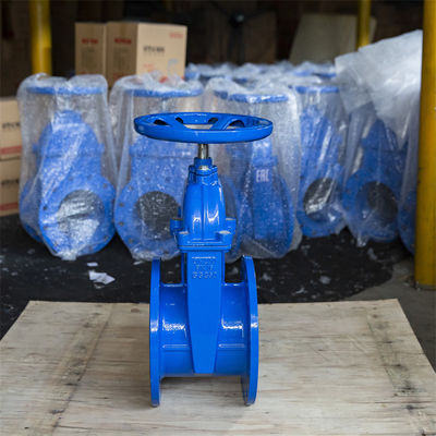 Het kneedbare van de de Klep Zachte Verbinding van de Ijzerggg40 Poort Afvalwater DN200 DN150 QT400