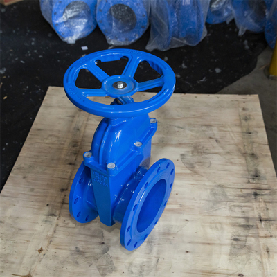 Van de de Poortklep van Seat van de koperdraad de Elastische Einden van de het Afvalwaterf4 PN10 GGG50 Flens