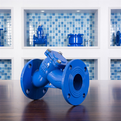Zeef van het behandelings van afvalwater de Kneedbare Ijzer Y