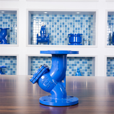 Gietijzery Type van DIN de Kneedbare Zeeffilter Pn16 voorzag Blauw Drinkwater van een flens